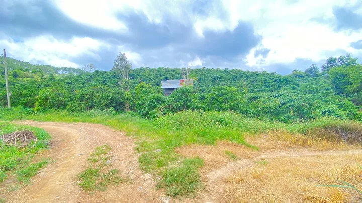 Bất động sản tại Lâm Đồng - ảnh 1