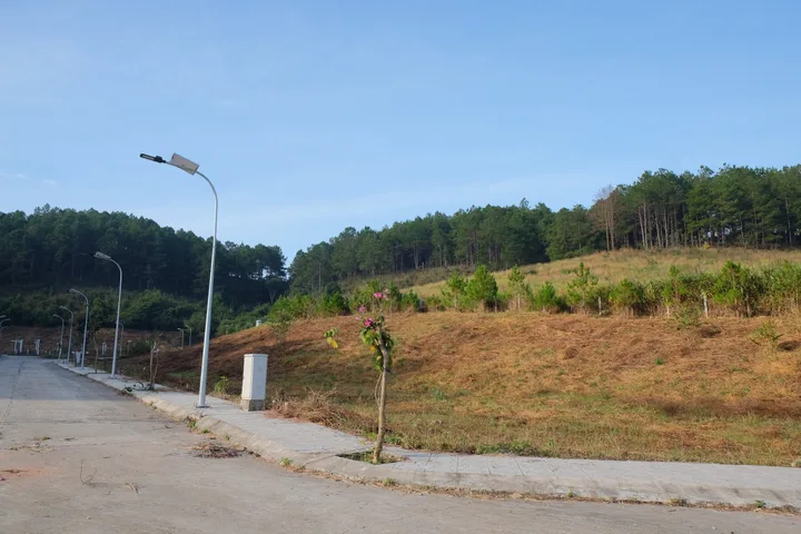 Bất động sản tại Lâm Đồng - ảnh 1