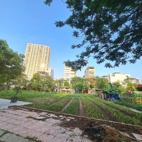 Bất động sản tại Bắc Ninh - ảnh 1