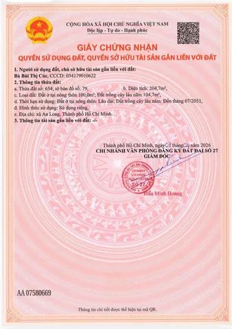 Bất động sản tại Bình Dương - ảnh 1