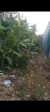 Bất động sản tại Vĩnh Long - ảnh 1