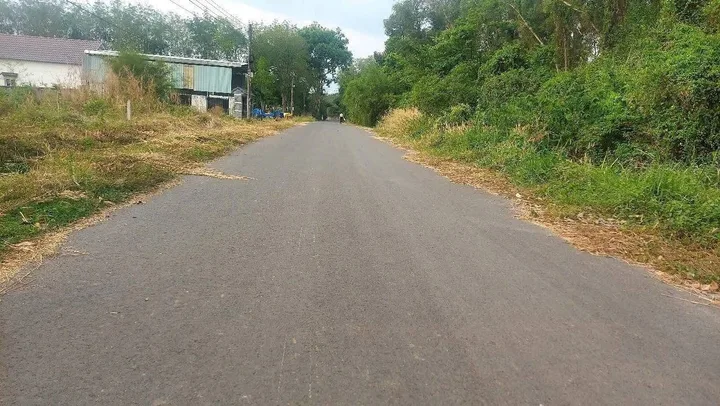 Bất động sản tại Bình Dương - ảnh 1