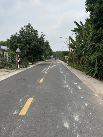 Bất động sản tại Bình Dương - ảnh 1