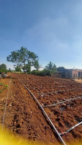 Bất động sản tại Đắk Lắk - ảnh 1