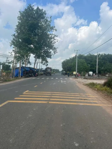 Bất động sản tại Đồng Nai - ảnh 1