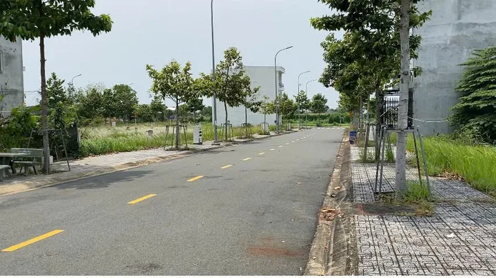 Bất động sản tại Bình Dương - ảnh 1