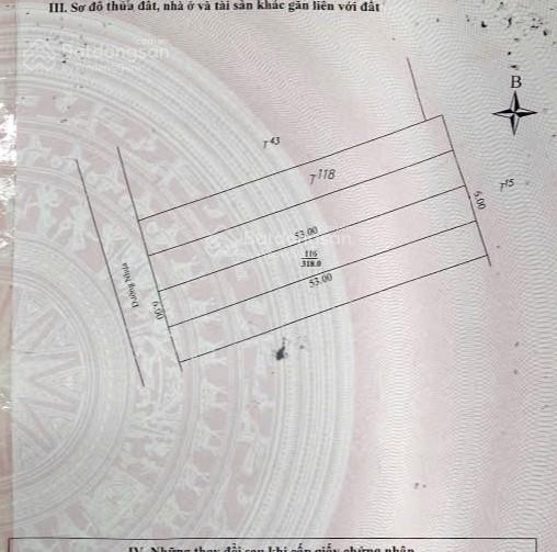 Bất động sản tại Đà Nẵng - ảnh 1