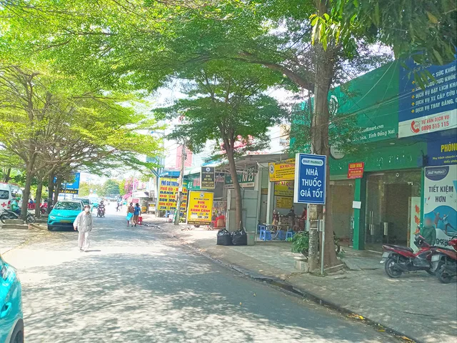 Bất động sản tại Đồng Nai - ảnh 1