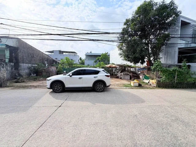 Bất động sản tại Đà Nẵng - ảnh 1