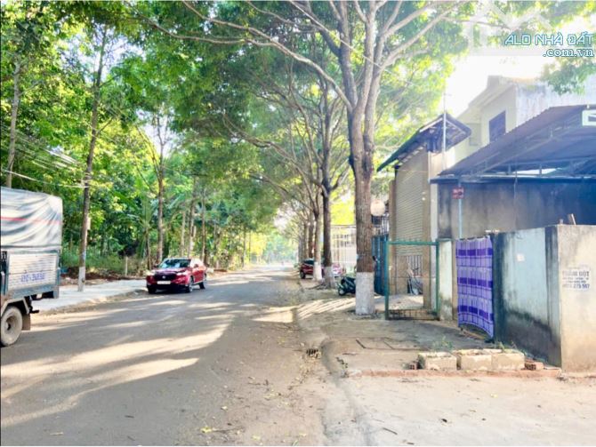 Bất động sản tại Đắk Lắk - ảnh 1