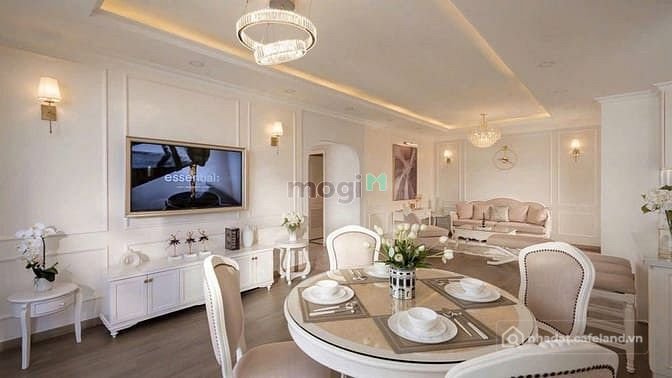 Bất động sản tại TP. Hồ Chí Minh - ảnh 1