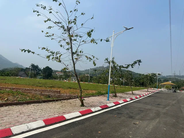 Bất động sản tại Phú Thọ - ảnh 1