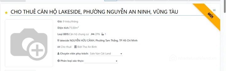 Bất động sản tại TP. Hồ Chí Minh - ảnh 1