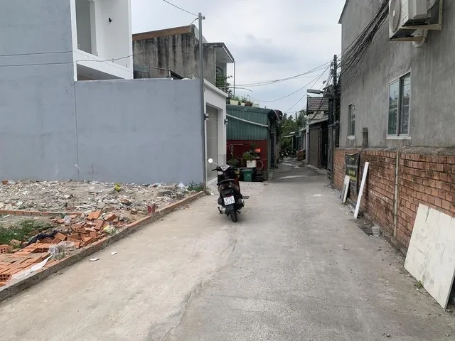 Bất động sản tại Bình Dương - ảnh 1