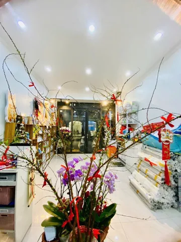 Bất động sản tại Hải Phòng - ảnh 1
