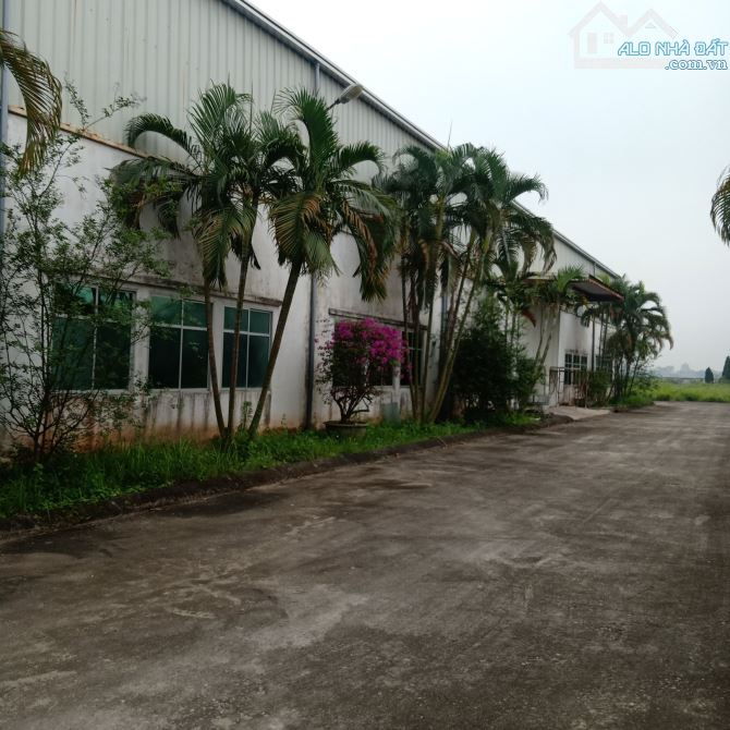 Bất động sản tại Hưng Yên - ảnh 1