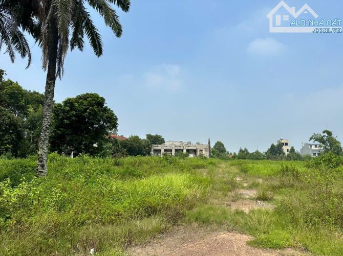 Bất động sản tại Bắc Giang - ảnh 1