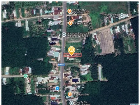 Bất động sản tại Bình Dương - ảnh 1