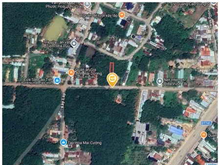 Bất động sản tại Bình Dương - ảnh 1
