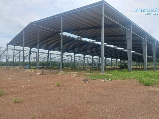 Bất động sản tại Bình Dương - ảnh 1