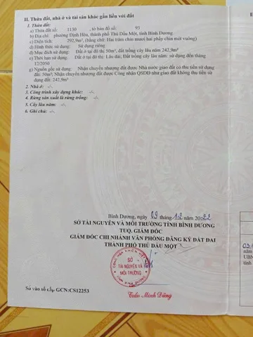 Bất động sản tại Bình Dương - ảnh 1
