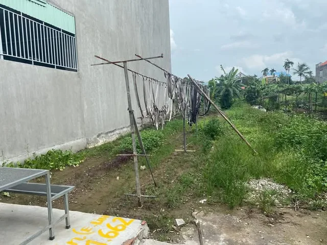Bất động sản tại Hải Phòng - ảnh 1