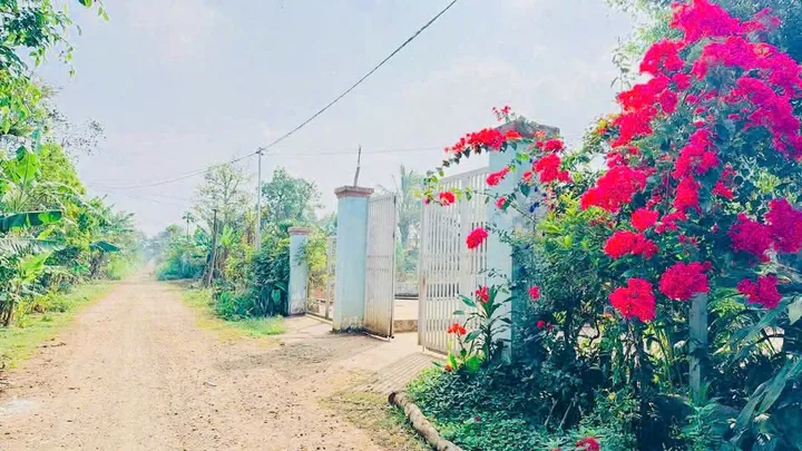 Bất động sản tại Đắk Lắk - ảnh 1
