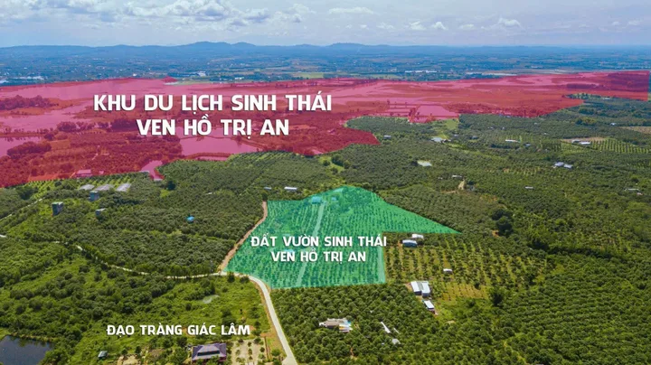 Bất động sản tại Đồng Nai - ảnh 1