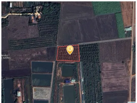 Bất động sản tại Tây Ninh - ảnh 1