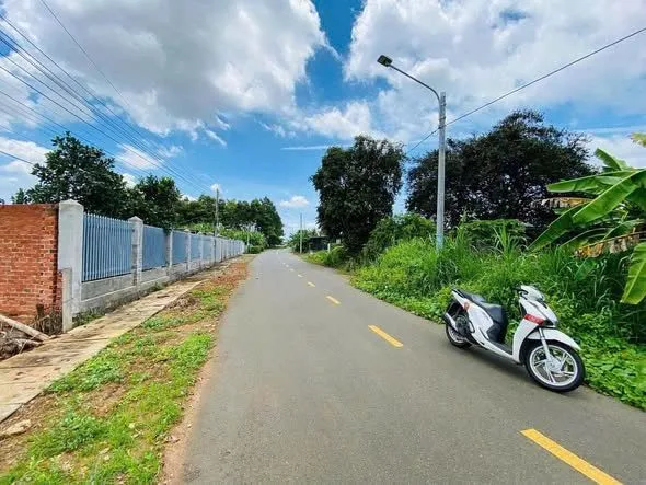 Bất động sản tại Bình Dương - ảnh 1