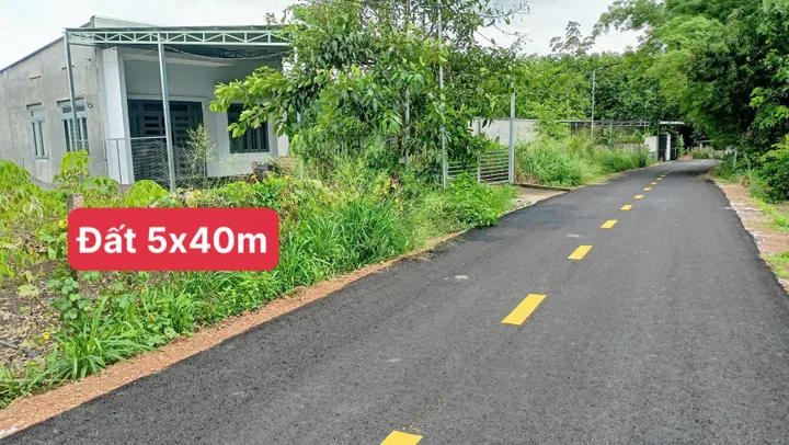 Bất động sản tại Bình Dương - ảnh 1