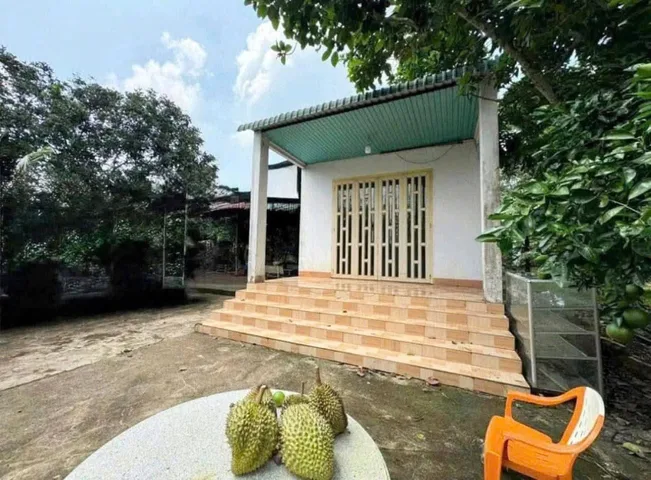 Bất động sản tại Bình Dương - ảnh 1