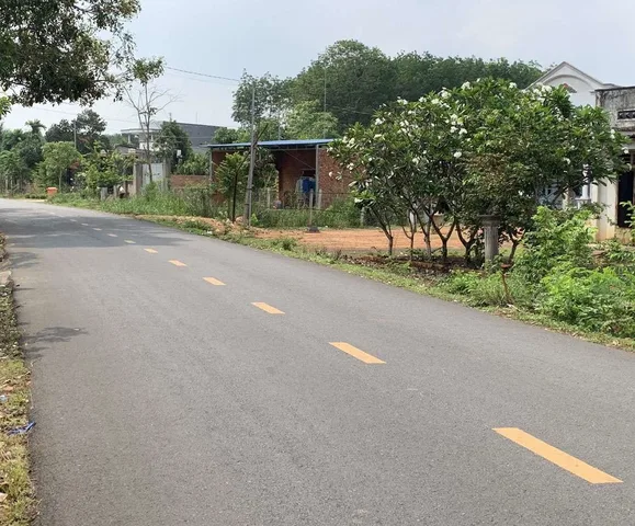 Bất động sản tại Bình Dương - ảnh 1