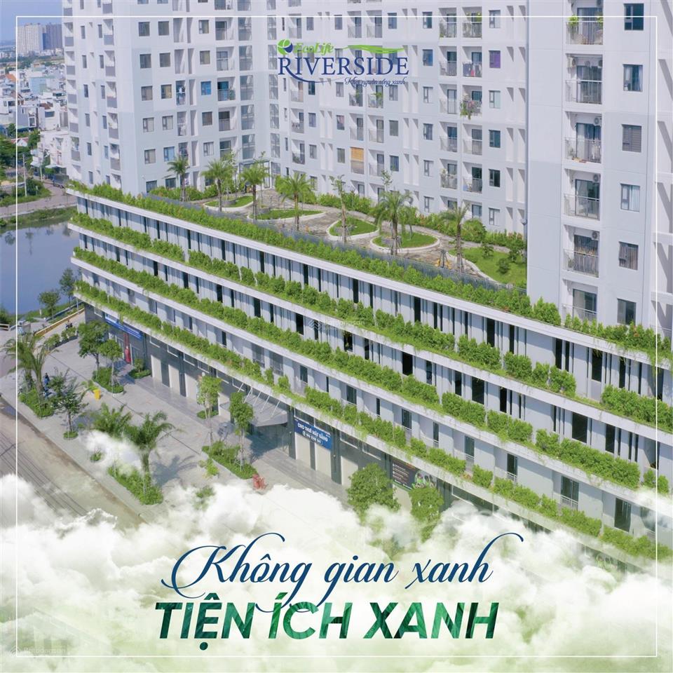 Bất động sản tại Bình Định - ảnh 1