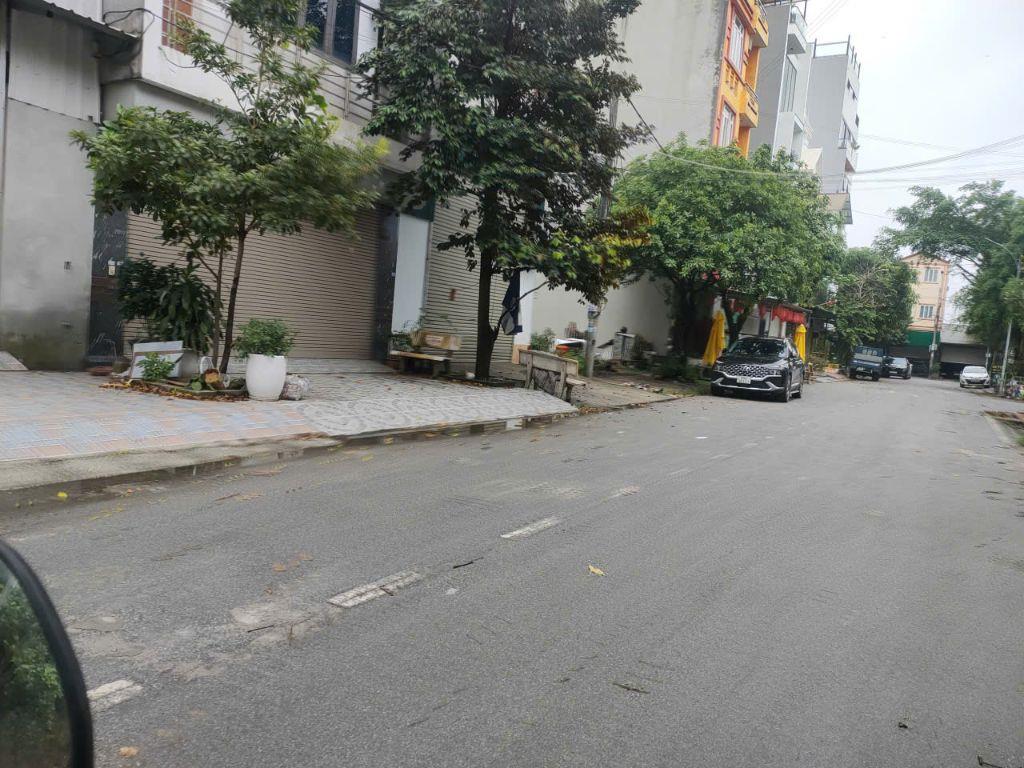Bất động sản tại Hưng Yên - ảnh 1