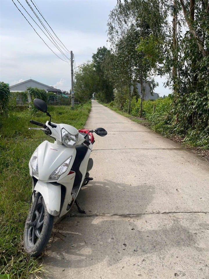 Bất động sản tại Long An - ảnh 1