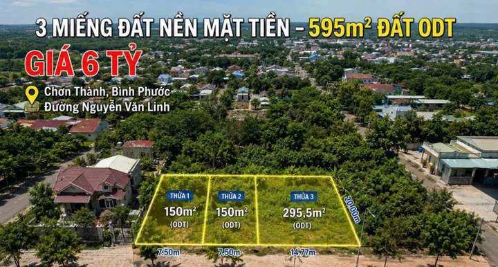 Bất động sản tại Bình Dương - ảnh 1
