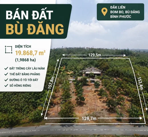Bất động sản tại Bình Phước - ảnh 1