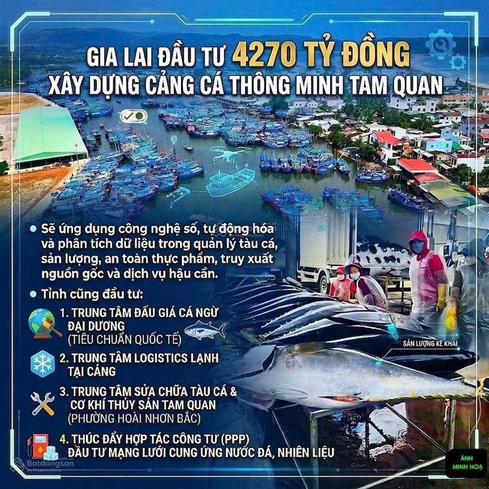 Bất động sản tại Bình Định - ảnh 1