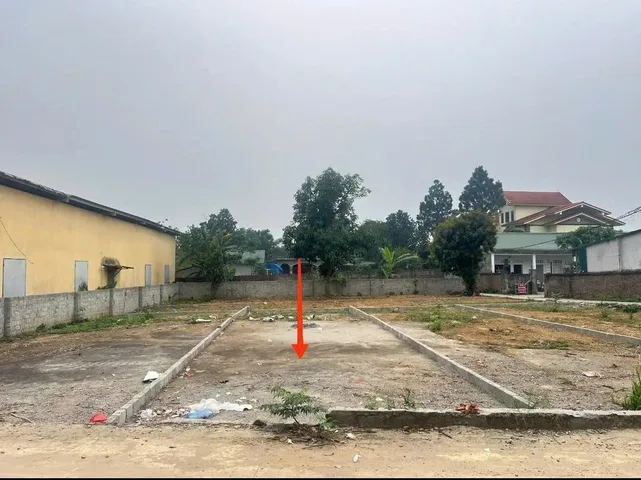 Bất động sản tại Phú Thọ - ảnh 1
