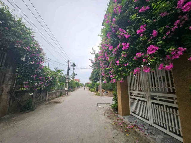 Bất động sản tại Hưng Yên - ảnh 1
