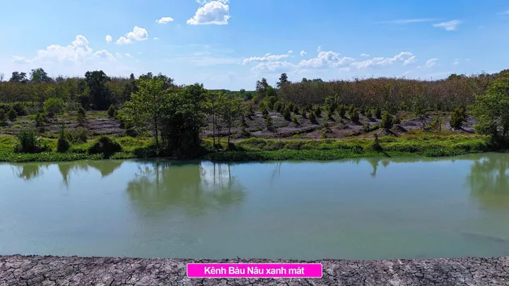 Bất động sản tại Tây Ninh - ảnh 1