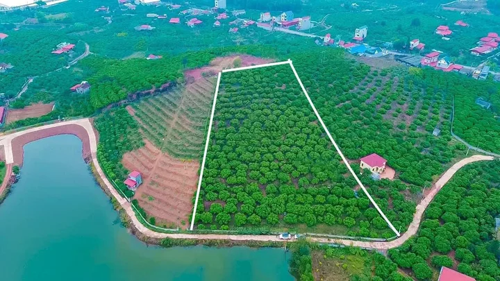 Bất động sản tại Bắc Ninh - ảnh 1
