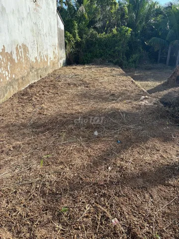Bất động sản tại Bến Tre - ảnh 1