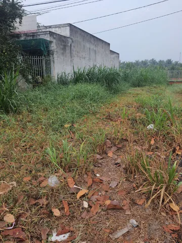 Bất động sản tại Bến Tre - ảnh 1
