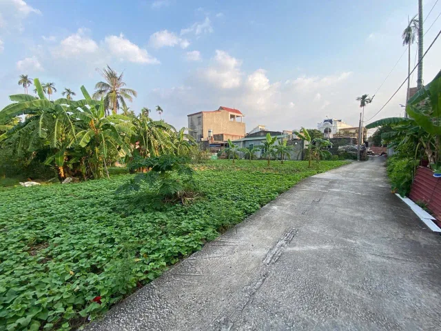 Bất động sản tại Hải Phòng - ảnh 1