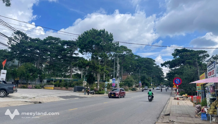 Bất động sản tại Lâm Đồng - ảnh 1