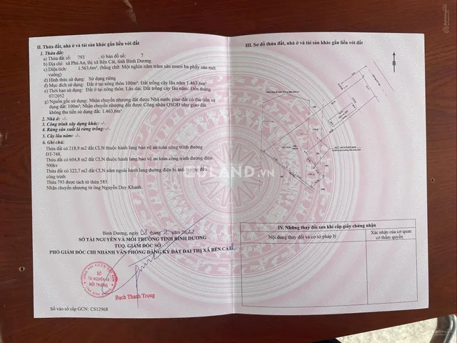 Bất động sản tại Bình Dương - ảnh 1