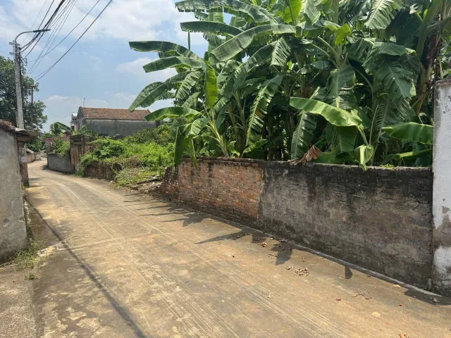 Bất động sản tại Bắc Giang - ảnh 1