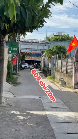 Bất động sản tại Đà Nẵng - ảnh 1